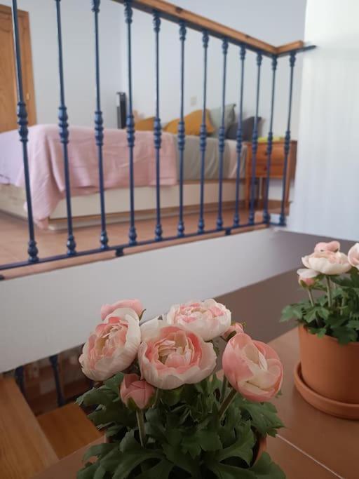 Casa Heli - Ruim Appartement Met Dakterras In Polopos ภายนอก รูปภาพ